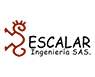 45